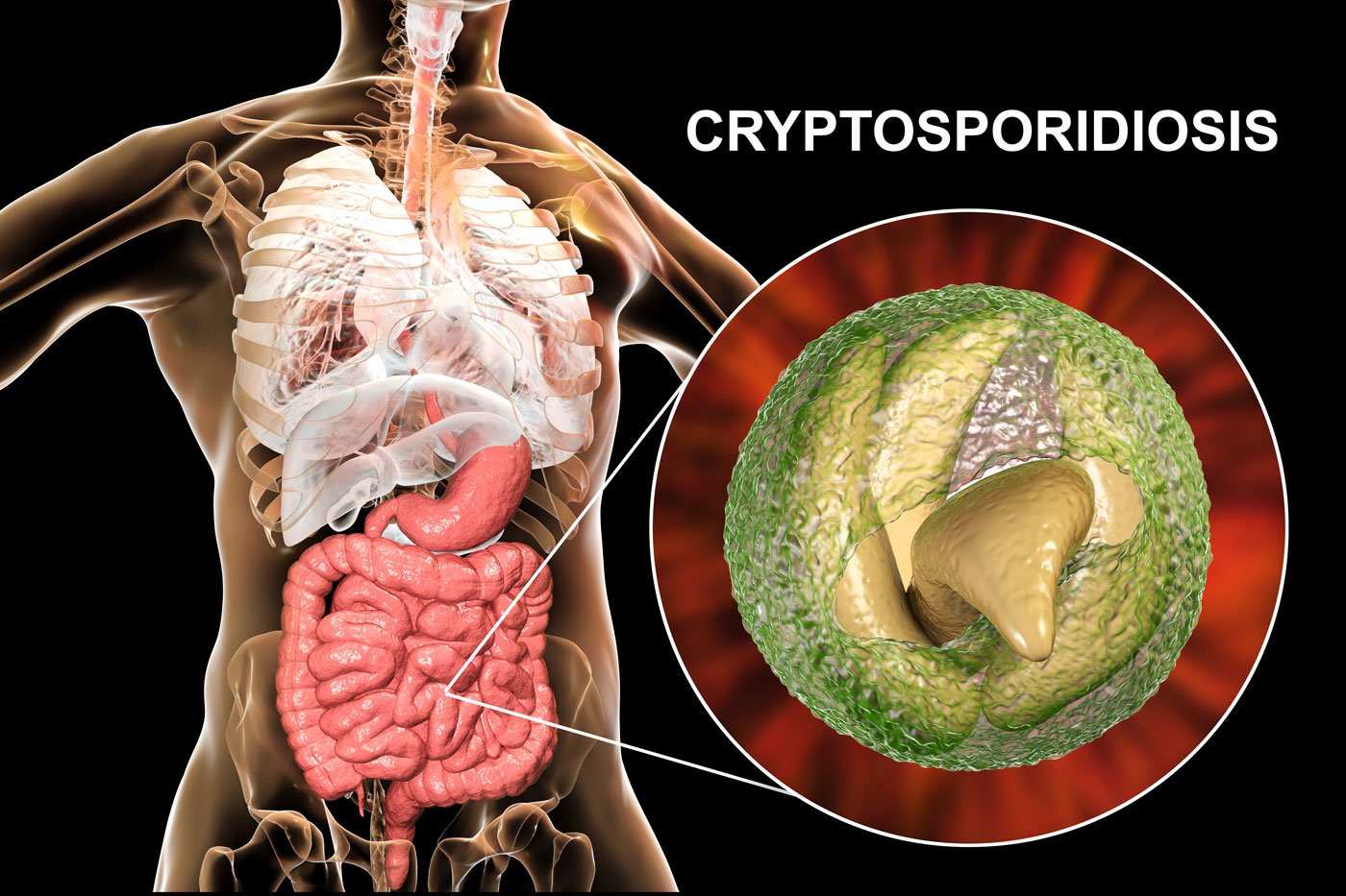 can crypto be spread through saliva