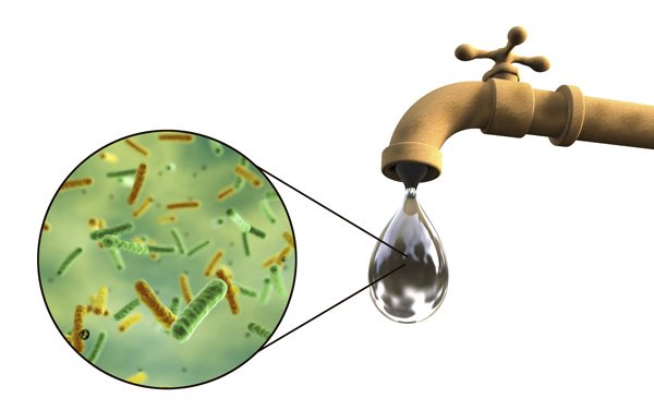 Bacteria free water from tap